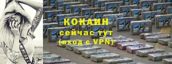 ALPHA PVP Остров