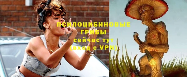 ALPHA PVP Остров