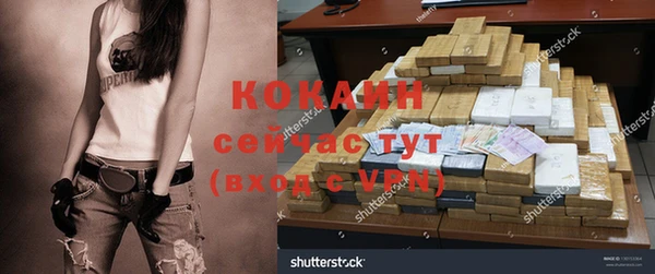 ALPHA PVP Остров