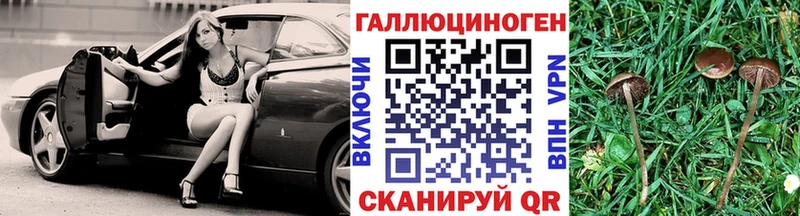 Псилоцибиновые грибы Cubensis Баксан