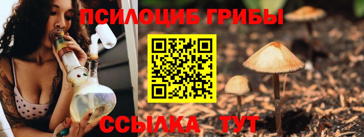Галлюциногенные грибы Psilocybine cubensis Баксан