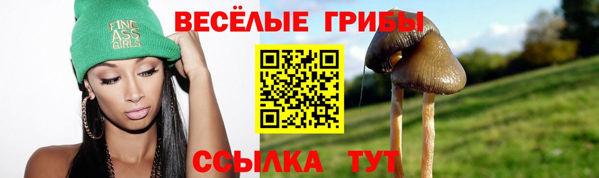 Псилоцибиновые грибы прущие грибы  Вход с VPN  Баксан  Галлюциногенные грибы MAGIC MUSHROOMS 