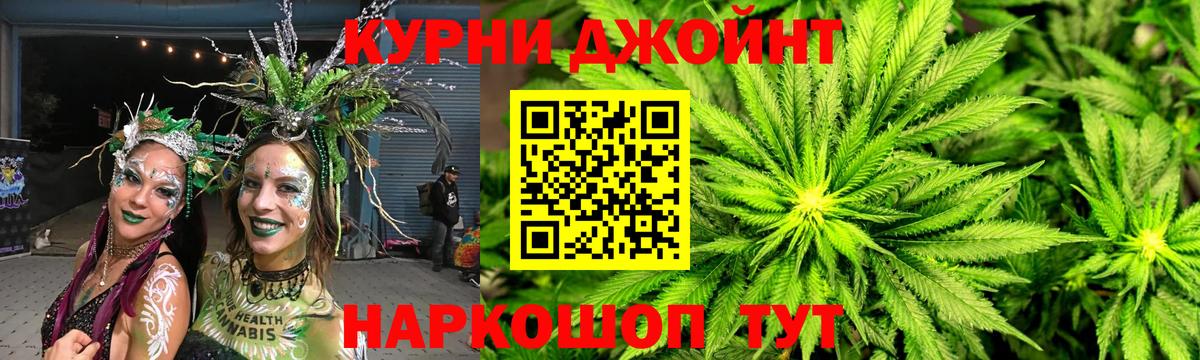 Бошки Шишки планчик Баксан